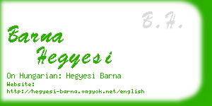 barna hegyesi business card